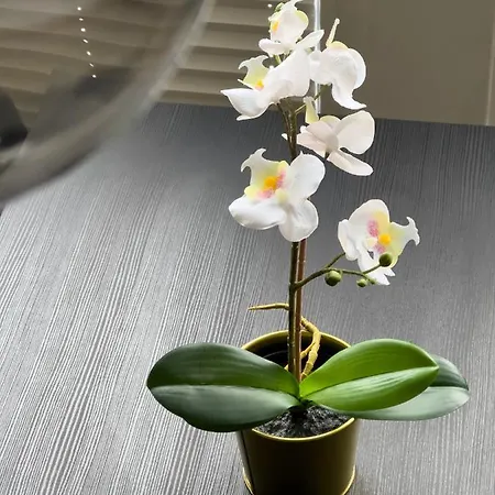 Design Naehe Uni Koblencja